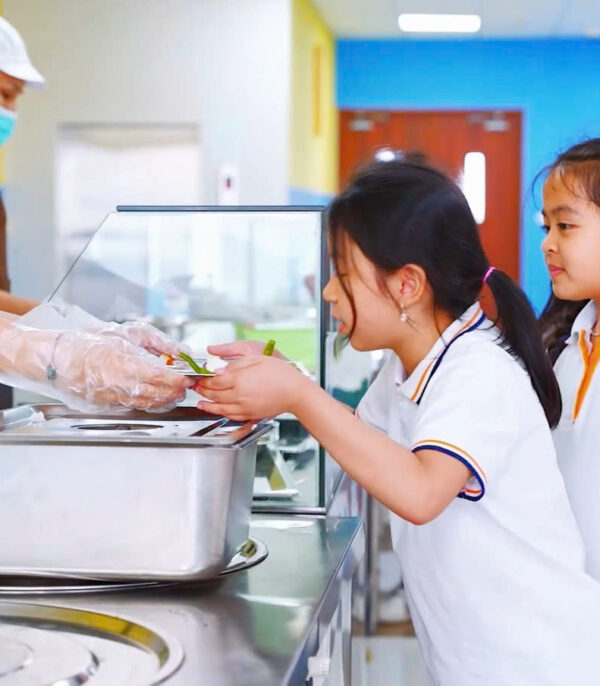 Phenikaa School service